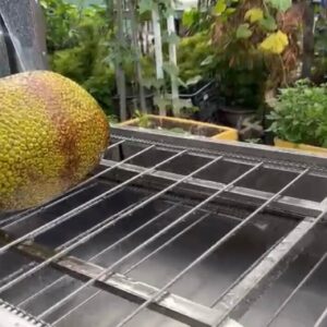 may-rua-mit-cong-nghiep