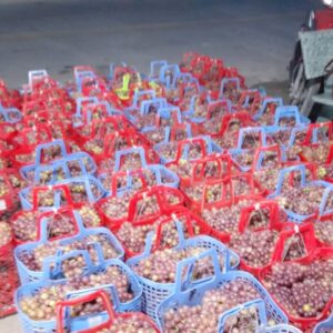 may-rua-nho-cong-nghiep