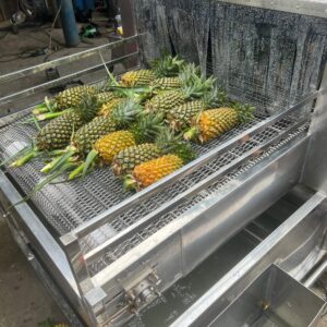 máy rửa trái thơm công nghiệp