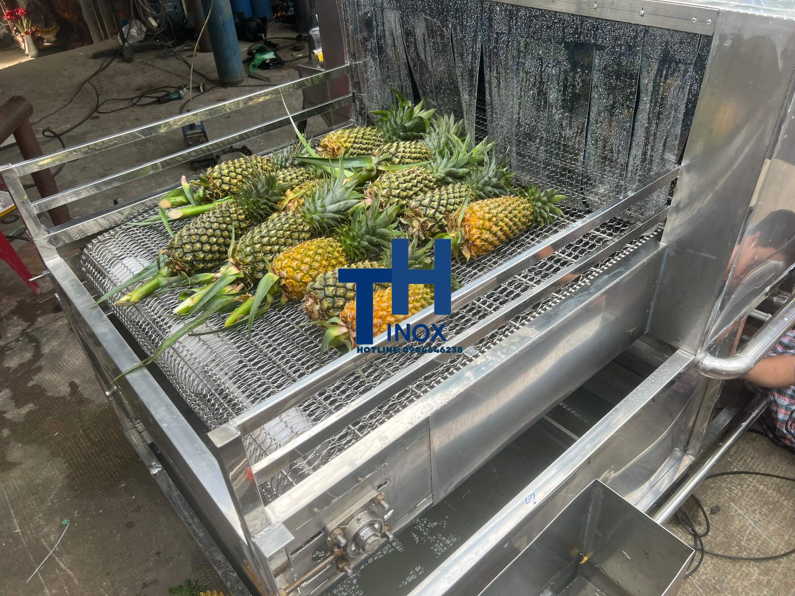 máy rửa trái thơm công nghiệp