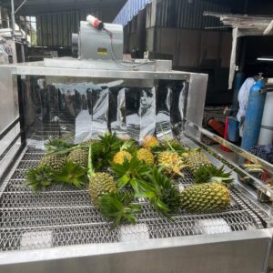 máy rửa trái Thơm công nghiệp