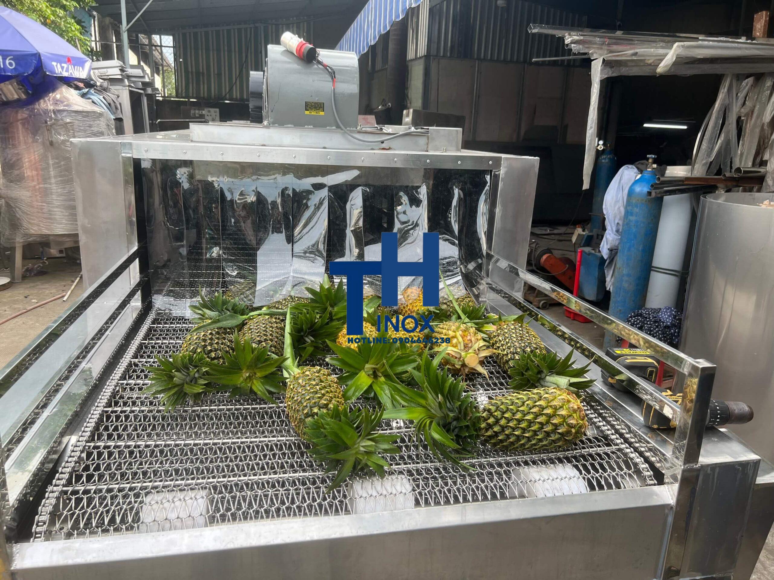 máy rửa trái Thơm công nghiệp