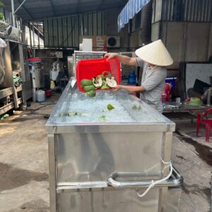 day-chuyen-may-rua-vỏ-bong-buoi