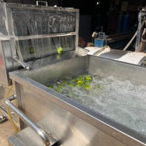 day-chuyen-may-rua-cam