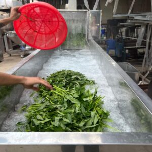 may-rua-rau-cong-nghiep-suc-khi-ozone