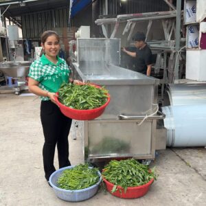 may-rua-rau-cong-nghiep