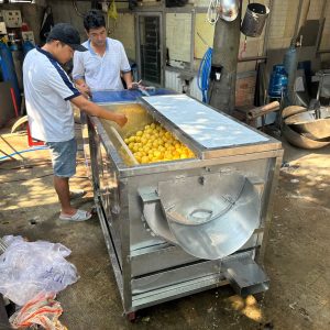 may-rua-cha-vo-got-khoai-tay